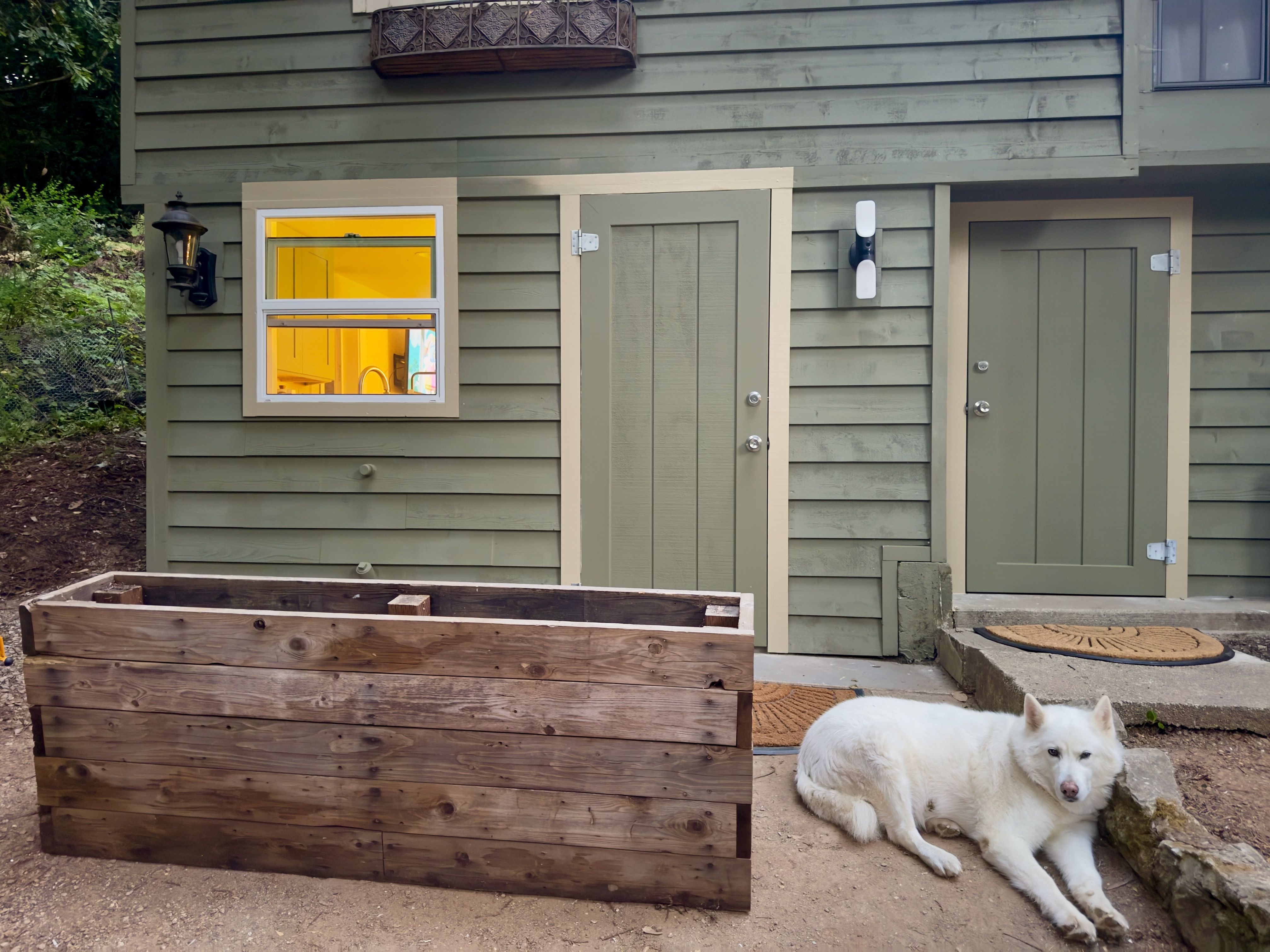 The exterior: green siding with the private ground-floor entrance, a raised garden planter, and the household's big white dog resting by the steps.